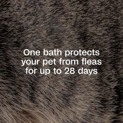 ADAMS Plus Flea & Tick Shampoo with Precor IGR for Cats, Kittens, Dogs & Puppies Over 12 Weeks Of Age, Sensitive Skin Flea Treatment, Kills Adult Fleas, Flea Eggs, Ticks, and Lice, 6 Ounces