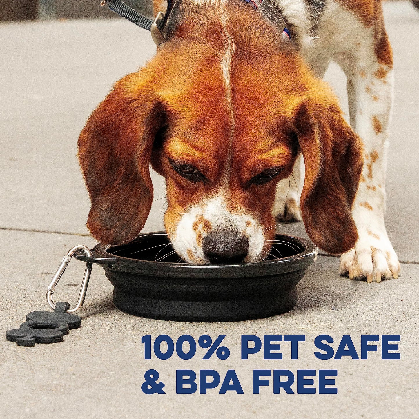Bonza Large Collapsible Dog Bowl 1000 mL, Sturdy Reinforced Rim, Includes Carabiner & Water Bottle Holder Keychain